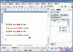 Word2003ε񴰸